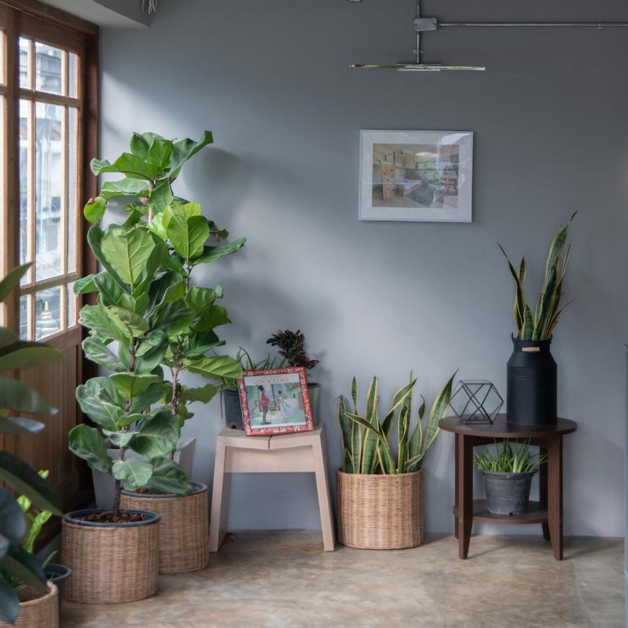 Arch39 Minimal Art & Craft - Sha Hotel Chiang Mai Ngoại thất bức ảnh